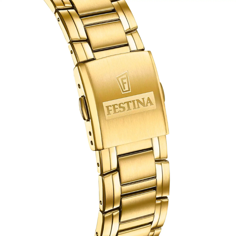 Pánské hodinky FESTINA Timeless Chronograph 20705/6