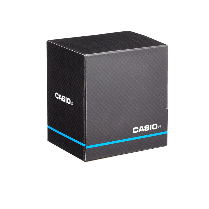 Hodinky CASIO Collection Vintage AQ-240E-3AEF