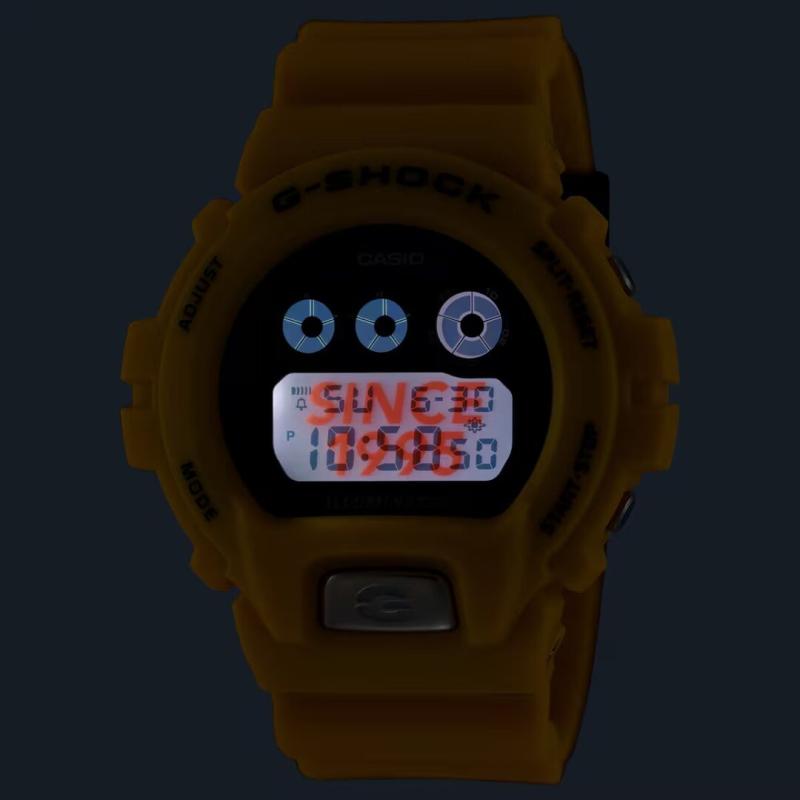 Pánské hodinky CASIO G-SHOCK Classic DW-6900TR-9ER