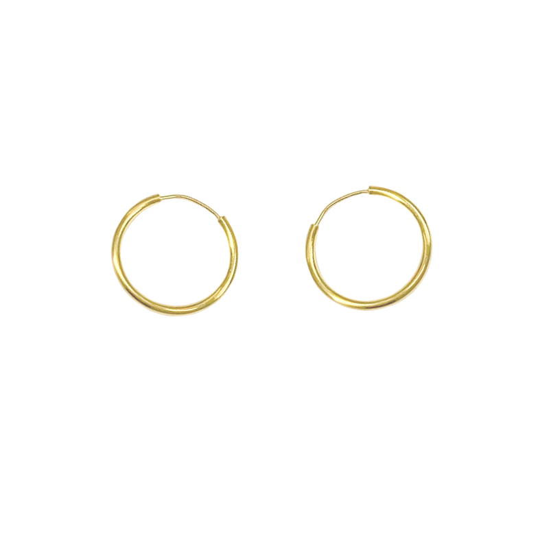 Stříbrné pozlacené náušnice AG 925/1000 AGRO3204