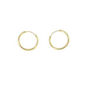 Stříbrné pozlacené náušnice AG 925/1000 AGRO3204