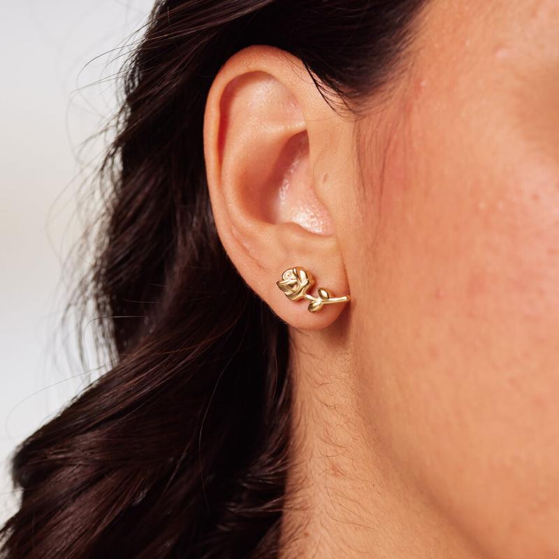 Náušnice BROSWAY Chakra BHKE199