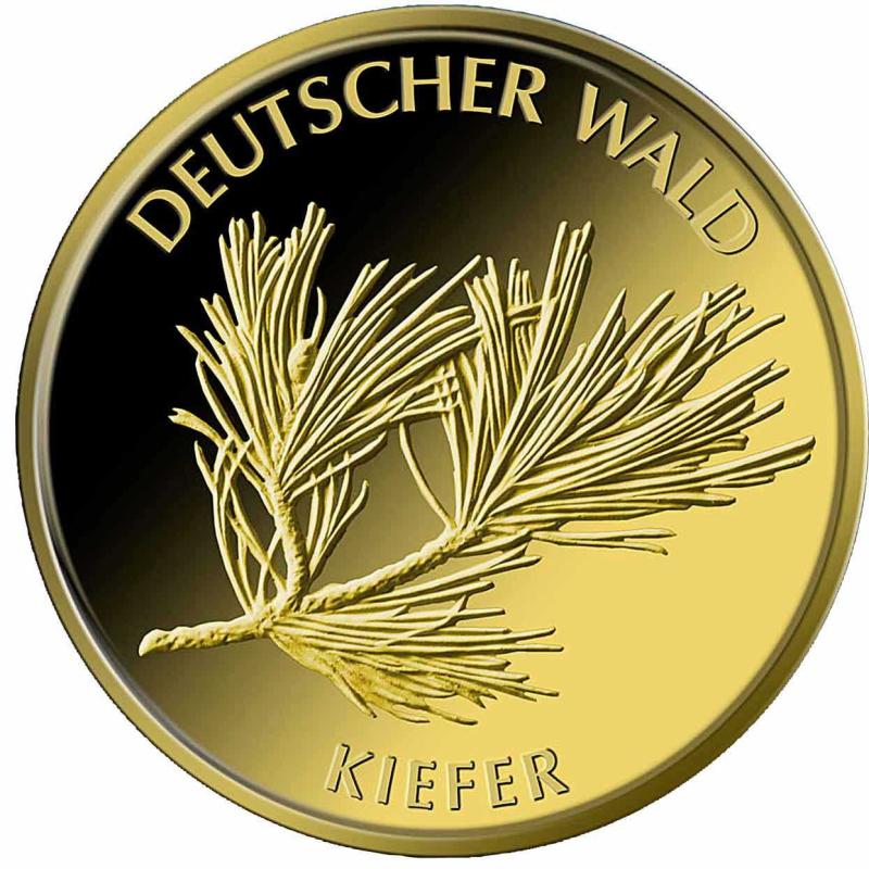 20 Euro Goldmünze Deutscher Wald - Kiefer 2013 (J)