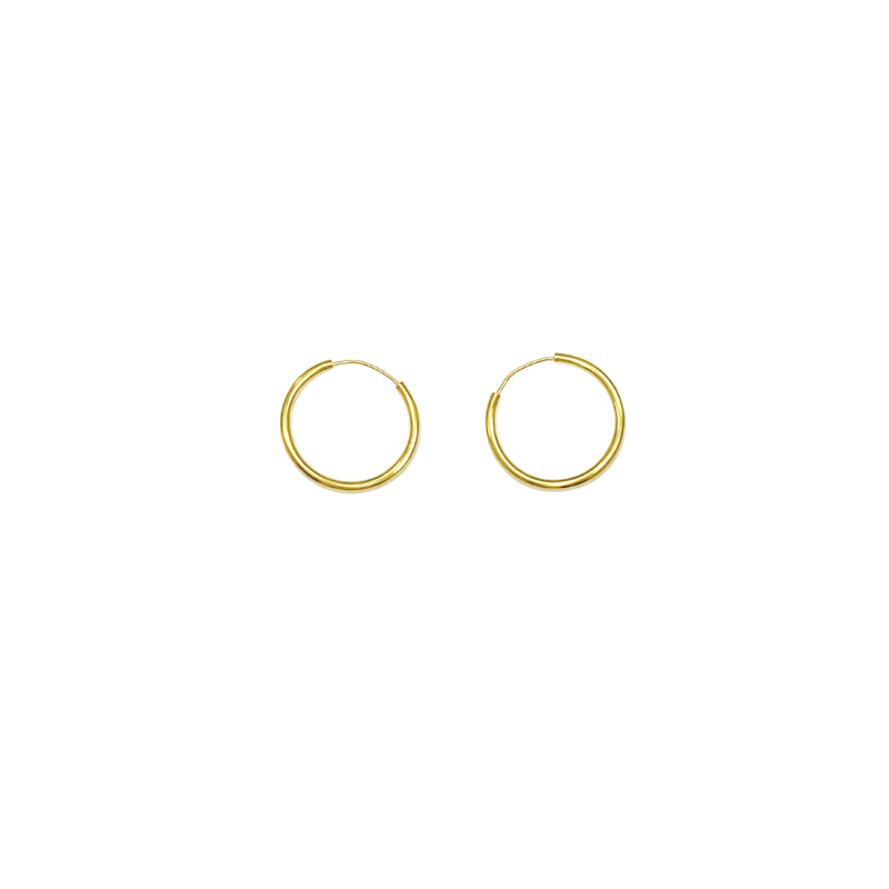 Stříbrné pozlacené náušnice AG 925/1000 AGRO3204