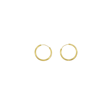 Stříbrné pozlacené náušnice AG 925/1000 AGRO3204