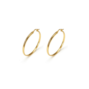 Strieborná pozlátené náušnice AG 925/1000 AGNI366604