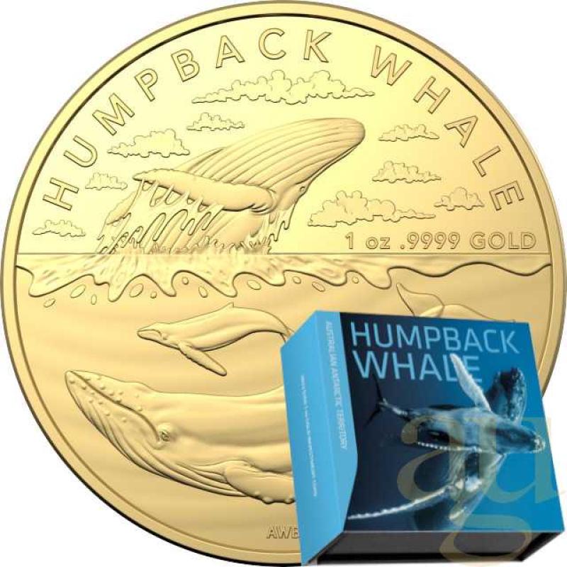 1 Unze Goldmünze Australien Antarctic Territory - Humpback Whale 2023