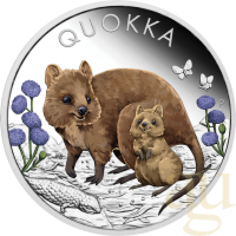 1 Unze Silbermünze Australien Quokka 2022 coloriert - polierte Platte