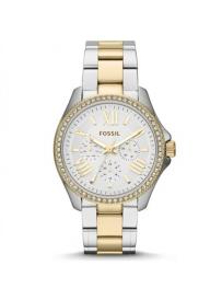 Dámské hodinky FOSSIL AM4543