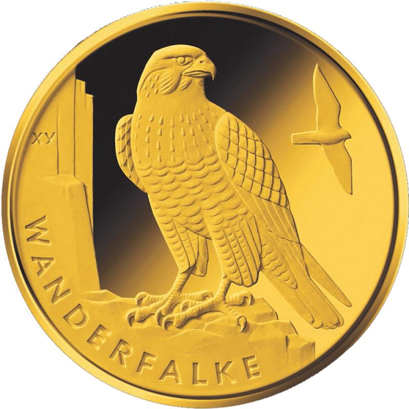 20 Euro zlatá mince Heimische Vögel - Wanderfalke 2019 (D)