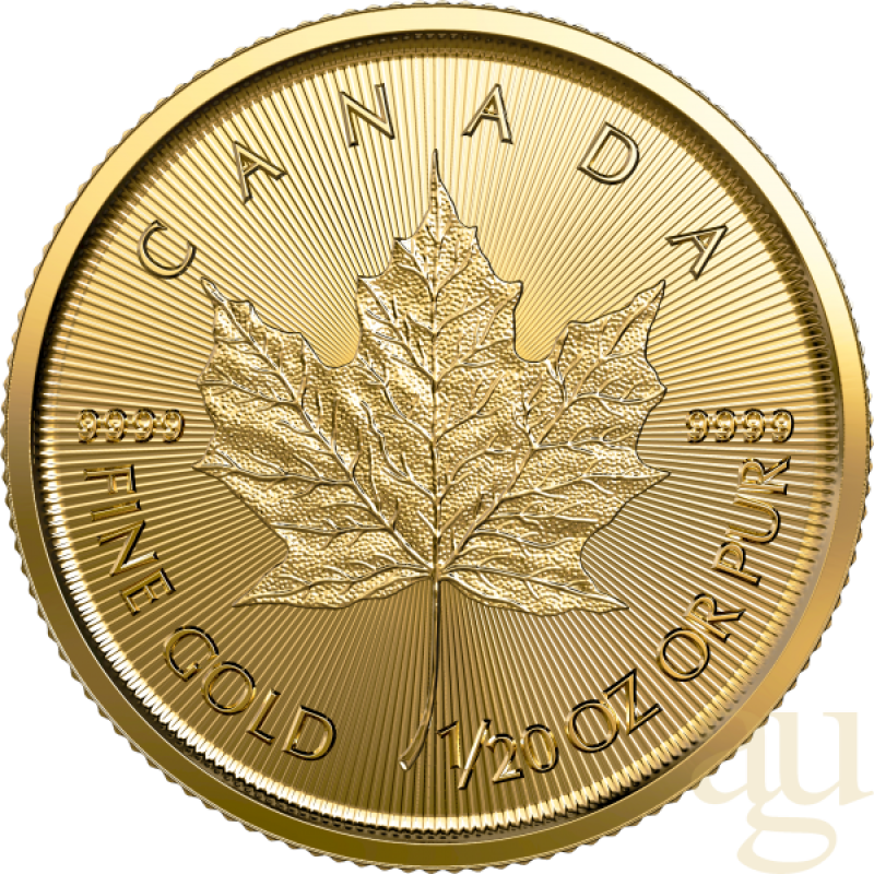 1/20 Unze Goldmünze Maple Leaf 2023