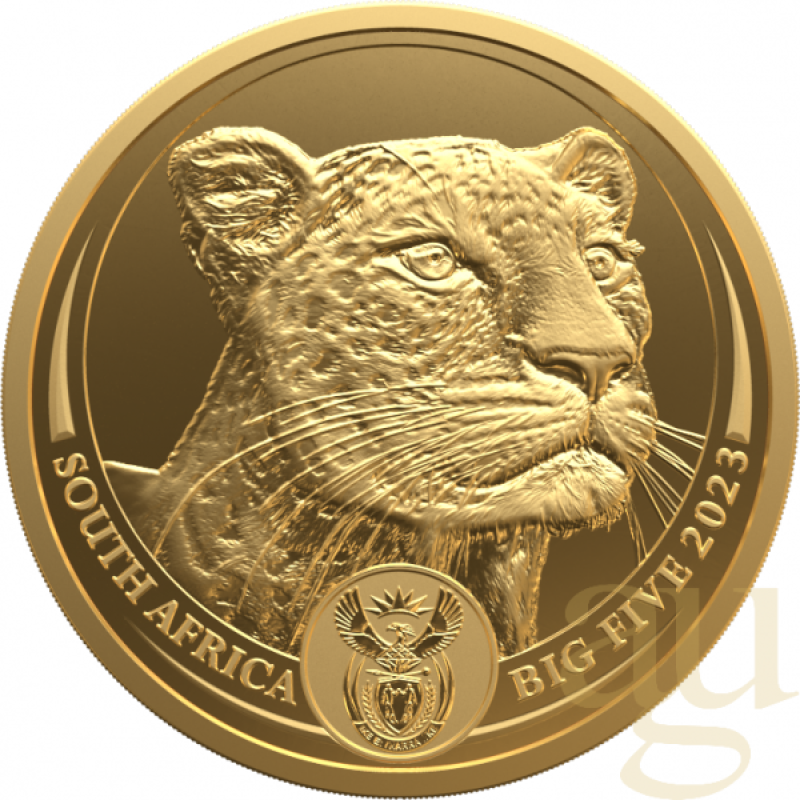 1/4 Unze Goldmünze Südafrika Big Five Leopard 2023 proof