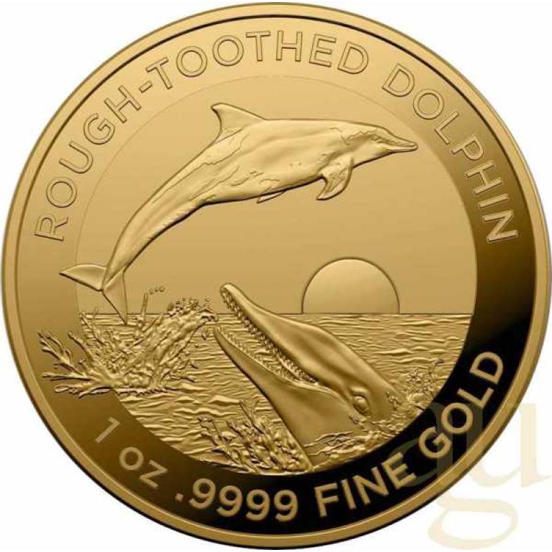 1 Unze Goldmünze Australien Rough-Toothed Delfin 2023