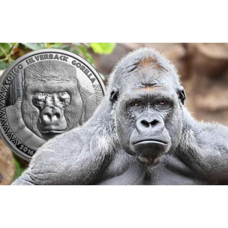 1 unce stříbrná mince Afrika Kongo Silberrücken Gorilla 2016