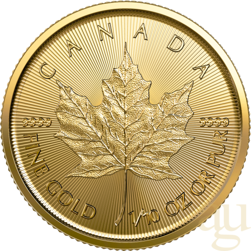 1/10 Unze Goldmünze Maple Leaf 2023