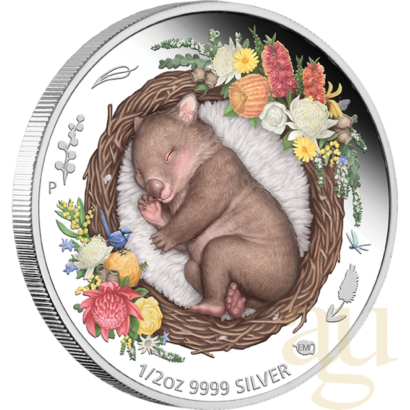 1/2 unce stříbrná mince Austrálie Dreaming Down Under - Wombat 2021 - proof color