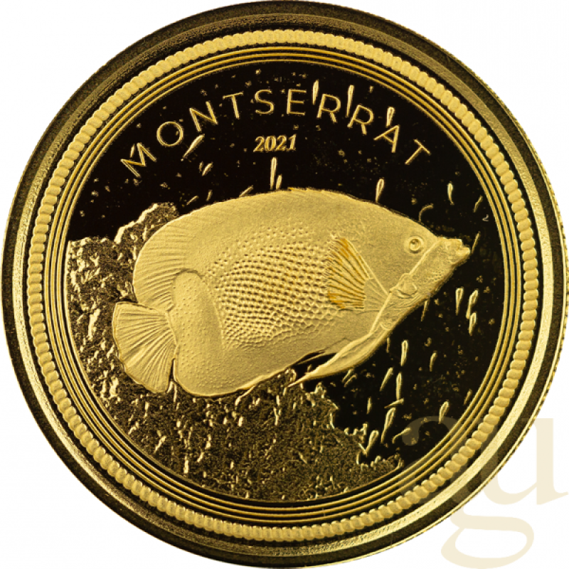 1 Unze Goldmünze EC8 Montserrat - Angelfish 2021