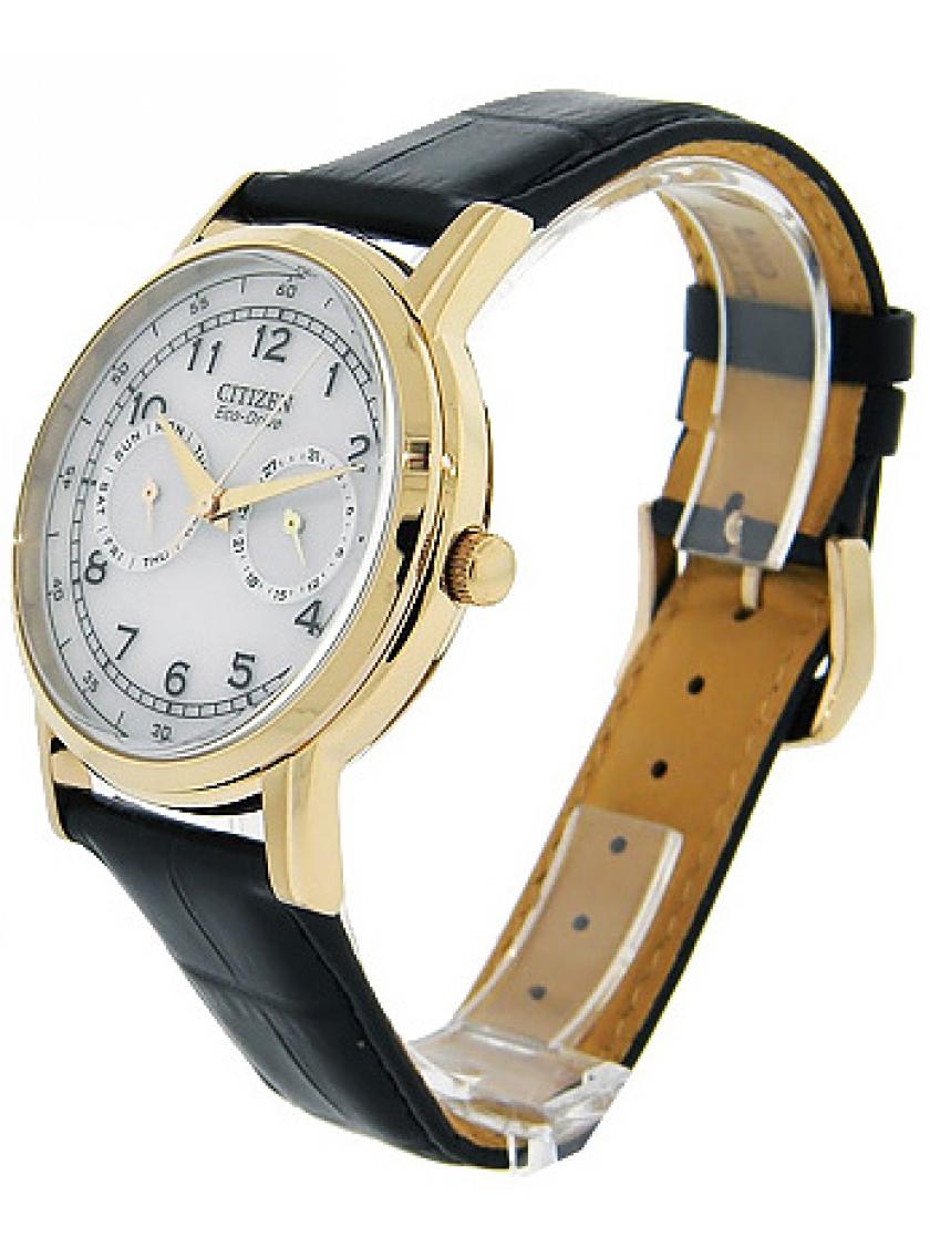 Pánské hodinky CITIZEN AO9003-16A