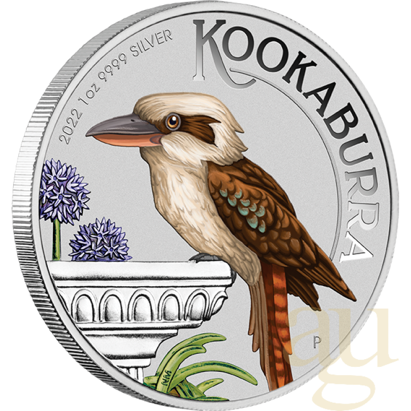 1 unce stříbrná mince Austrálie Kookaburra 2022 - coloriert