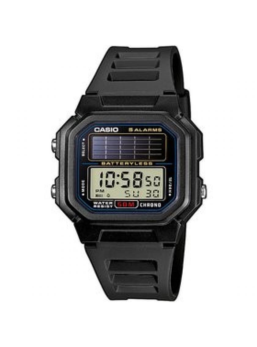 casio 190w