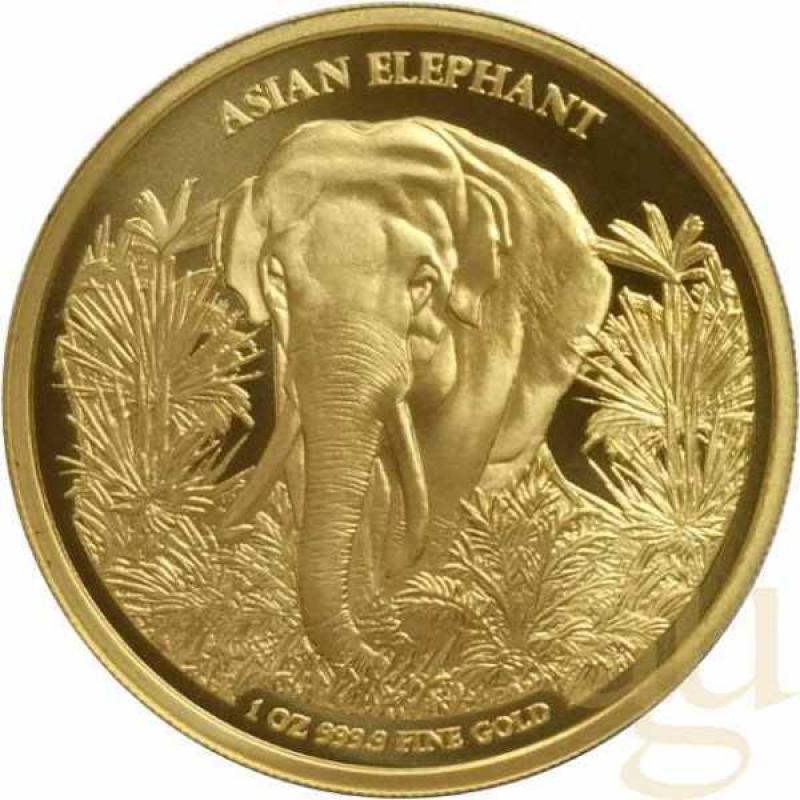 1 Unze Goldmünze Kambodscha Asien Big Five Elefant 2023