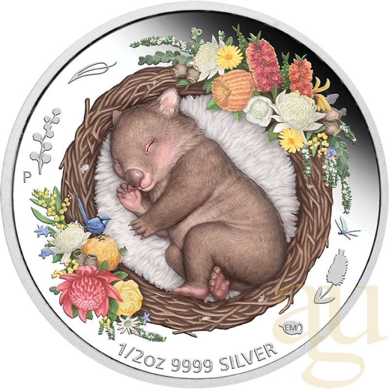 1/2 unce stříbrná mince Austrálie Dreaming Down Under - Wombat 2021 - proof color