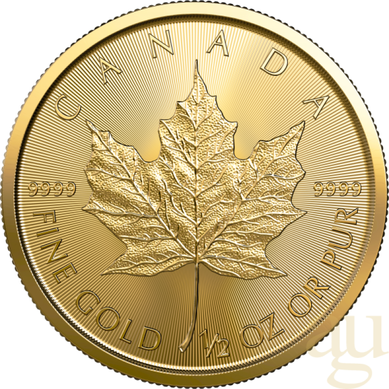 1/2 Unze Goldmünze Maple Leaf 2023