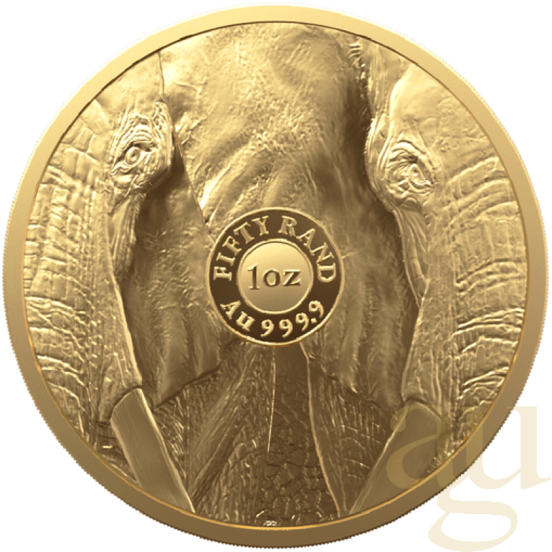 1 Unze Goldmünze Südafrika Big Five Elefant 2021 proof