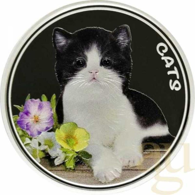 1 Unze Silbermünze Fiji Cats 2022 Tuxedo - coloriert