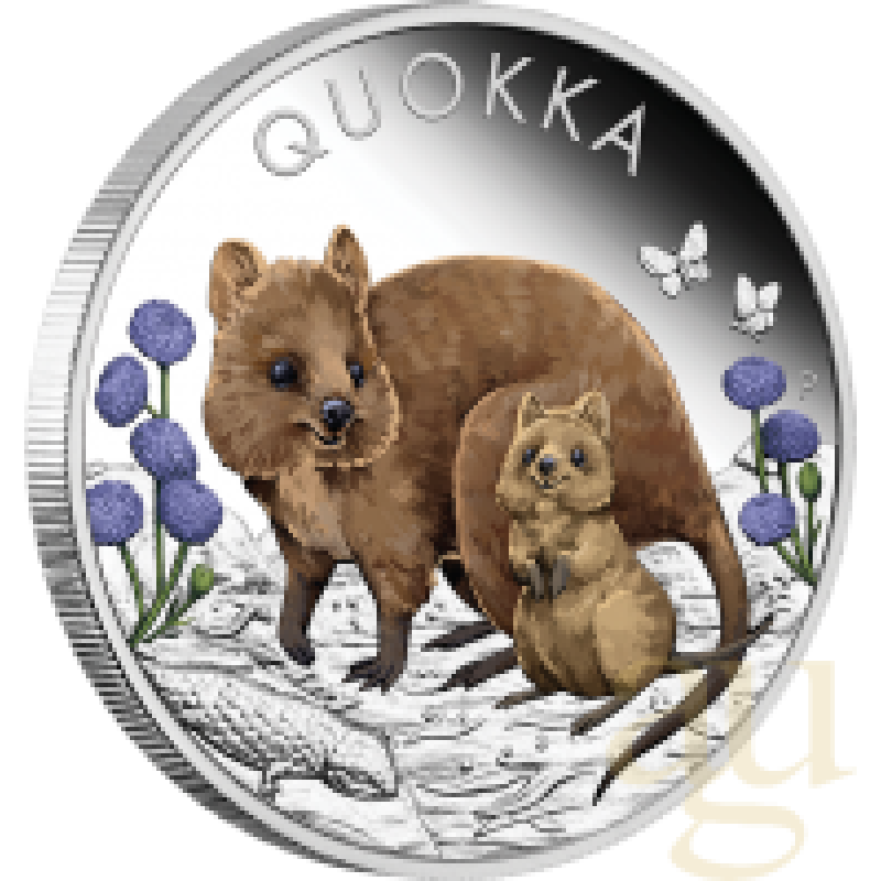 1 Unze Silbermünze Australien Quokka 2022 coloriert - polierte Platte