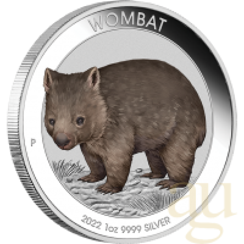 1 Unze Silbermünze Australien Wombat 2022 coloriert - Coincard