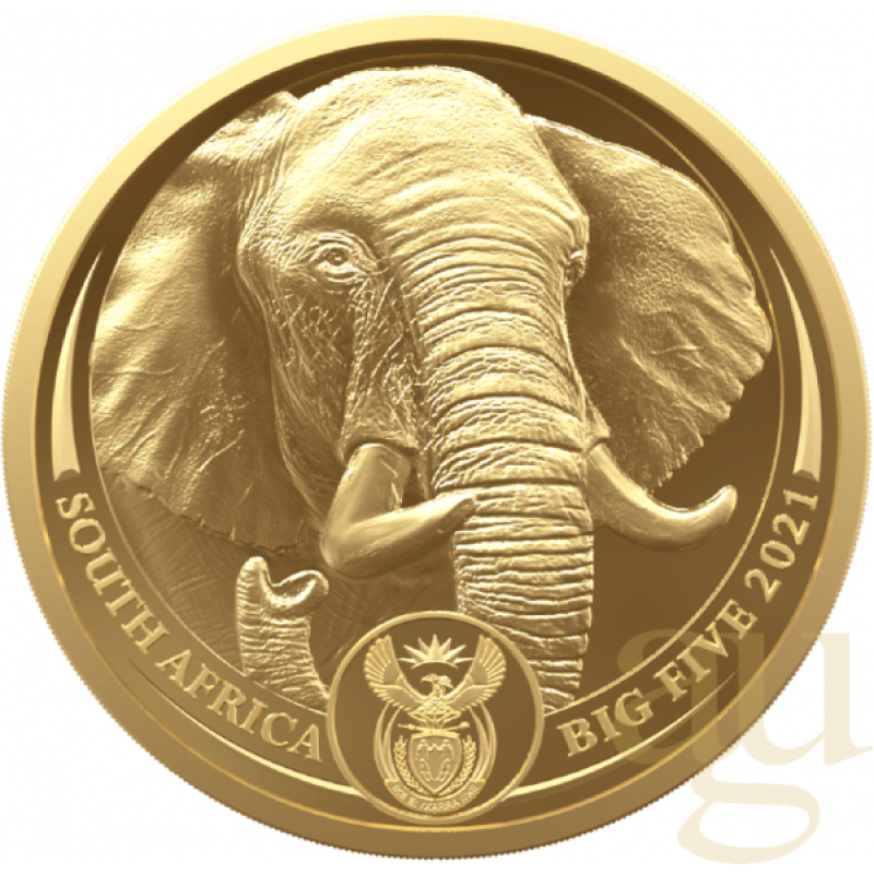 1 Unze Goldmünze Südafrika Big Five Elefant 2021 proof